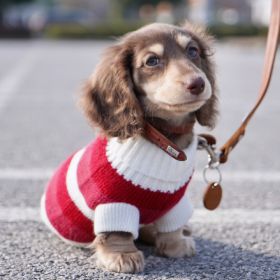 Sausage Dog Clothes Small Dog Cat Warm Thickened Sweater